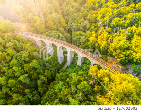 The Zampach stone railway bridge arches over greenery, nestled in a lush forest. Sunlight filters through the leaves, illuminating the structure and the railway tracks below. 117602902