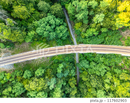 The Zampach stone railway bridge arches gracefully over lush greenery in Czechia, showcasing the harmony between nature and infrastructure in a tranquil, forested setting. 117602903