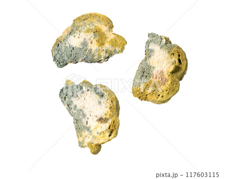 Bread with bacterium of mold . Macro photography  .  Isolated on white background 117603115