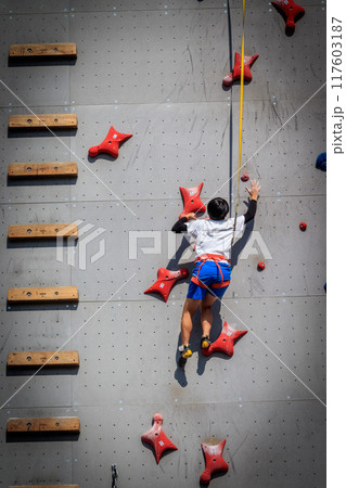 スポーツクライミングに挑戦する人 スポーツクライミングに挑戦する人 117603187