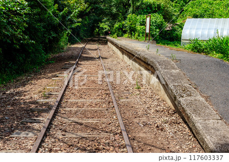旧国鉄倉吉線廃線跡　泰久寺駅周辺 117603337