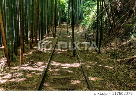 旧国鉄倉吉線廃線跡と竹林 旧国鉄倉吉線廃線跡と竹林 117603379