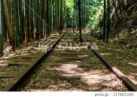 旧国鉄倉吉線廃線跡と竹林 旧国鉄倉吉線廃線跡と竹林 117603380