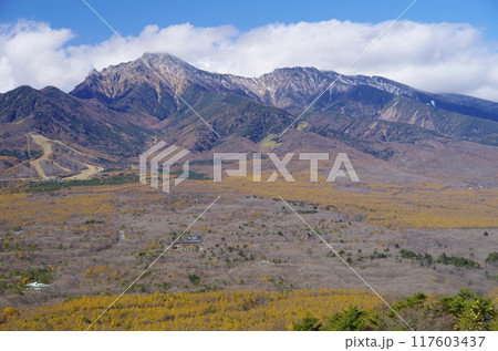 平沢峠から望む秋の八ヶ岳 117603437