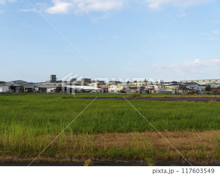 八尾空港周辺に建つ町工場の風景 八尾空港周辺に建つ町工場の風景 117603549