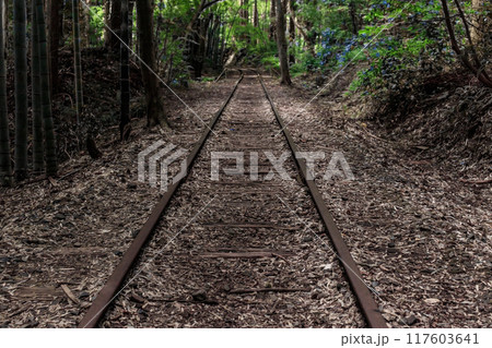 旧国鉄倉吉線廃線跡 117603641