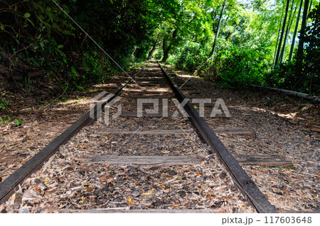 旧国鉄倉吉線廃線跡 117603648