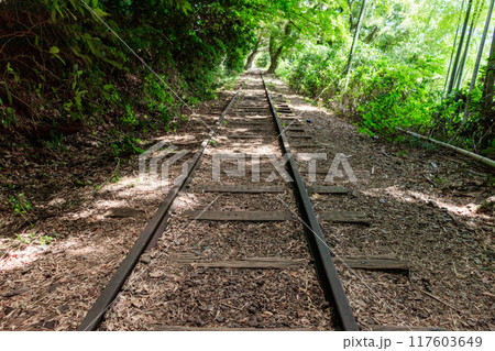 旧国鉄倉吉線廃線跡 117603649