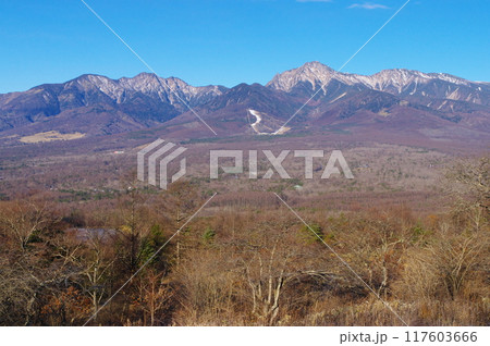 平沢峠から望む冬の八ヶ岳 117603666