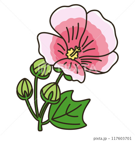 スイフヨウ 117603701