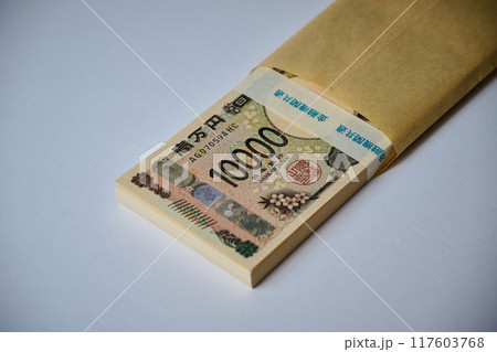 100万円 100万円 117603768
