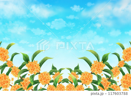 金木犀 秋の風景 金木犀 秋の風景 117603788