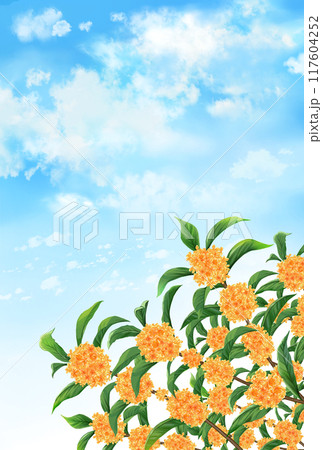 金木犀　秋の風景　縦長 117604252