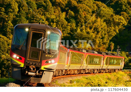 斜陽に照らされた2700系・特急南風 117604430