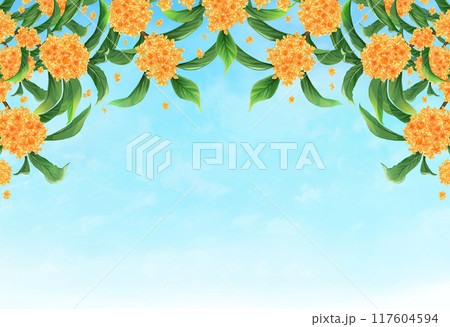金木犀　秋の背景 117604594