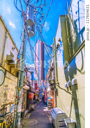 日本の東京都市景観 8月。三軒茶屋駅すぐの飲み屋街「三茶3番街」(三軒茶屋三角地帯)などを望む 日本の東京都市景観 8月。三軒茶屋駅すぐの飲み屋街「三茶3番街」(三軒茶屋三角地帯)などを望む 117604631