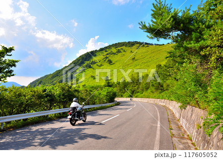 《長野県》夏のビーナスライン　八島湿原付近 117605052