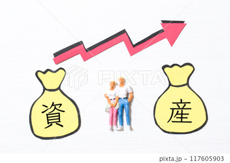 資産 117605903