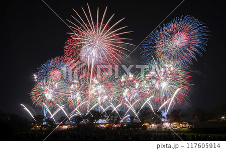 土浦の花火大会 117605914