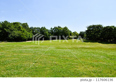 茅ヶ崎里山公園の風景　 117606136