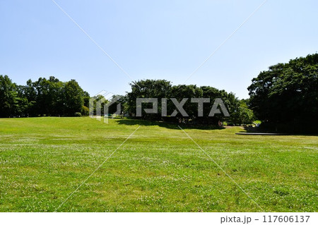 茅ヶ崎里山公園の風景　 117606137
