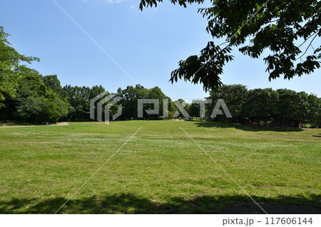 茅ヶ崎里山公園の風景　 117606144