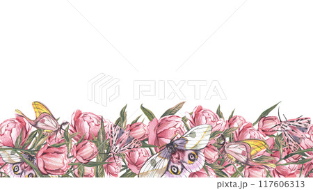 Seamless border pink peony flower, butterfly isolated white background. Watercolor hand drawn illustration. Art design 117606313
