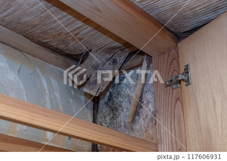 建付けの収納の中が雨漏りで壁紙がはげ、かびている 建付けの収納の中が雨漏りで壁紙がはげ、かびている 117606931