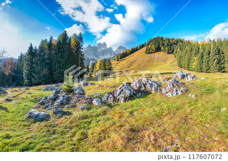 Stunning view of mountains and valleys with larch forest and wonderful sky are located in Filzmoos Stunning view of mountains and valleys with larch forest and wonderful sky are located in Filzmoos 117607072