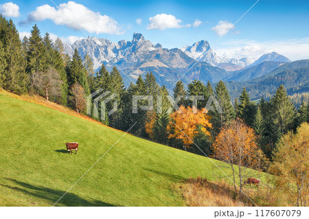 Fabulous view of Alpine green fields and mountains near St. Martin am Tennengebirge. Fabulous view of Alpine green fields and mountains near St. Martin am Tennengebirge. 117607079