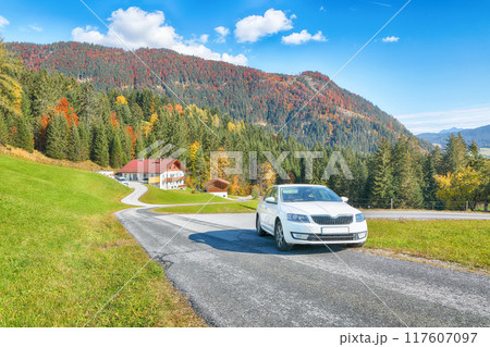 Amazing view of  Alpine green fields and traditional wooden houses view of the Abtenau village at autumn sunny day. 117607097
