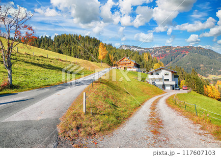 Captivating view of Alpine green fields and traditional wooden houses near St. Martin am Tennengebirge. Captivating view of Alpine green fields and traditional wooden houses near St. Martin am Tennengebirge. 117607103