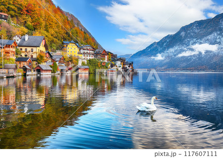 Amazing view of famous Hallstatt mountain village with Hallstatter lake. Amazing view of famous Hallstatt mountain village with Hallstatter lake. 117607111