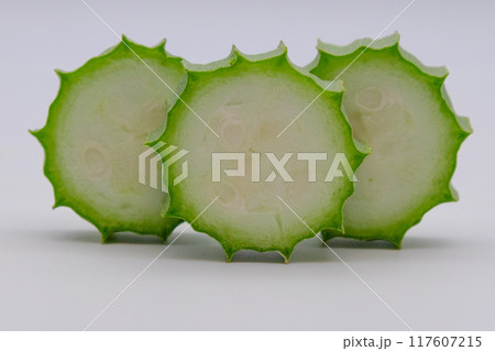 ヘチオクの素材写真　十角糸瓜　ヘチマとオクラの掛け合わせと思われている野菜 117607215