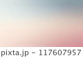 2色のグラデーション背景 117607957