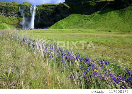 夏のアイスランド セリャランスフォスの滝(Seljalandsfoss ) 夏のアイスランド セリャランスフォスの滝(Seljalandsfoss ) 117608175