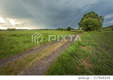 Dark storm clouds over a meadow with dirt road 117608209