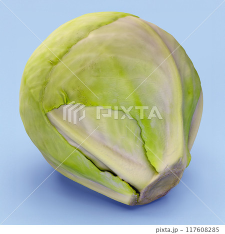 Fresh Green Cabbage Illustration for Healthy Eating and Organic Cuisine 3D Rendering Fresh Green Cabbage Illustration for Healthy Eating and Organic Cuisine 3D Rendering 117608285