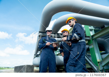 Side view of engineer or factory technician worker team stand under petrochemical gas pipeline with one also point to the pipeline in workplace. 117608367
