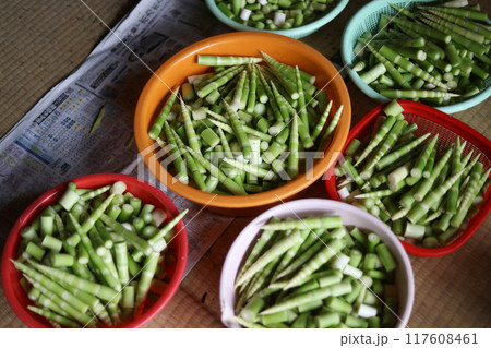 皮をむいた根曲がり竹 117608461