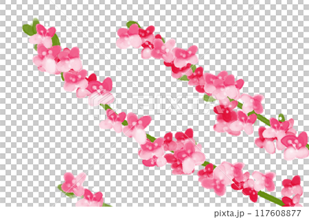 水引（ミズヒキ）の花のカード2 117608877