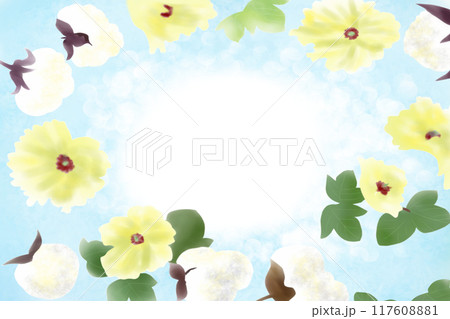 綿の花のカード1 117608881