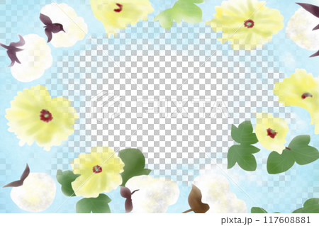 綿の花のカード1 117608881