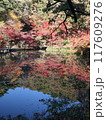 公園の鏡のような水面の池に移る美しい満開の紅葉 117609276