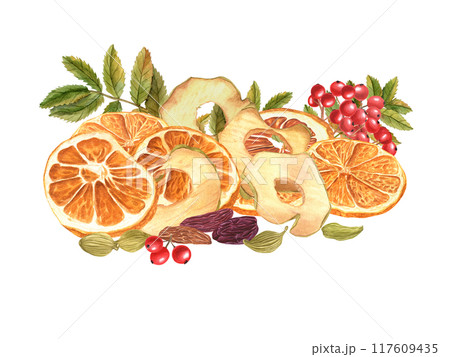 Dried fruit slices, Raisin, red berries, cardamoms and rowan leaves pile watercolor illustration. Natural sweeet apple chips, Orange wedges healthy food. Ingredients for autumn desserts, drinks 117609435