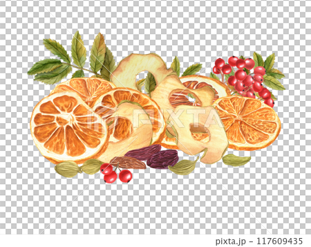 Dried fruit slices, Raisin, red berries, cardamoms and rowan leaves pile watercolor illustration. Natural sweeet apple chips, Orange wedges healthy food. Ingredients for autumn desserts, drinks 117609435