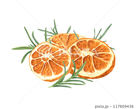 Dried citrus slices with rosemary twigs pile watercolor illustration. Orange pieces and green leaves heap for Christmas baking and hot warming drinks. Mulled wine or alcohol free drink. Dried citrus slices with rosemary twigs pile watercolor illustration. Orange pieces and green leaves heap for Christmas baking and hot warming drinks. Mulled wine or alcohol free drink. 117609436