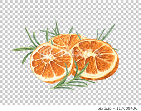 Dried citrus slices with rosemary twigs pile watercolor illustration. Orange pieces and green leaves heap for Christmas baking and hot warming drinks. Mulled wine or alcohol free drink. Dried citrus slices with rosemary twigs pile watercolor illustration. Orange pieces and green leaves heap for Christmas baking and hot warming drinks. Mulled wine or alcohol free drink. 117609436