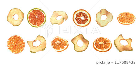 Apple chips and Orange slices watercolor illustration clip art. Dried natural organic sweeet snacks healthy vegan food set. Ingredient for culinary, desserts and Xmas drink decor. New Year concept 117609438