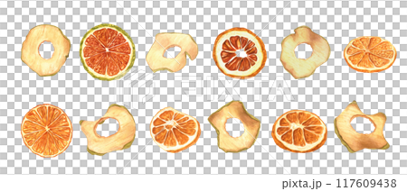 Apple chips and Orange slices watercolor illustration clip art. Dried natural organic sweeet snacks healthy vegan food set. Ingredient for culinary, desserts and Xmas drink decor. New Year concept 117609438